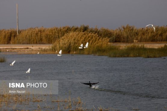 تالاب هورالعظیم