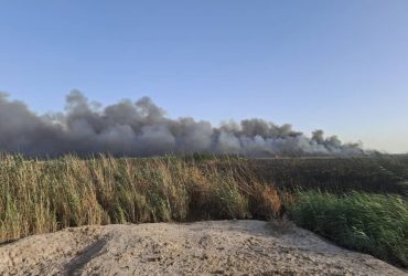 آتش‌سوزی در نیزارهای بندرامام