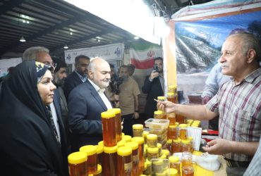 مدیرکل بانوان خوزستان در باتلاق “سکوت مشکوک”: آیا شأن اسلامی بانوان در نمایشگاه دولت قربانی “مدیریت تحمیلی” شد؟ / سکوت مدیرکل بانوان خوزستان در برابر نقض شأن اسلامی در نمایشگاه هفته دولت